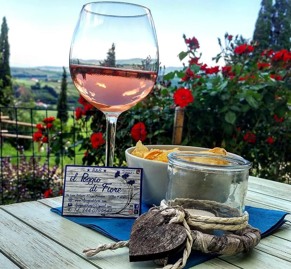 Bed & Breakfast B&B Il Poggio Di Fiore Castellina Marittima