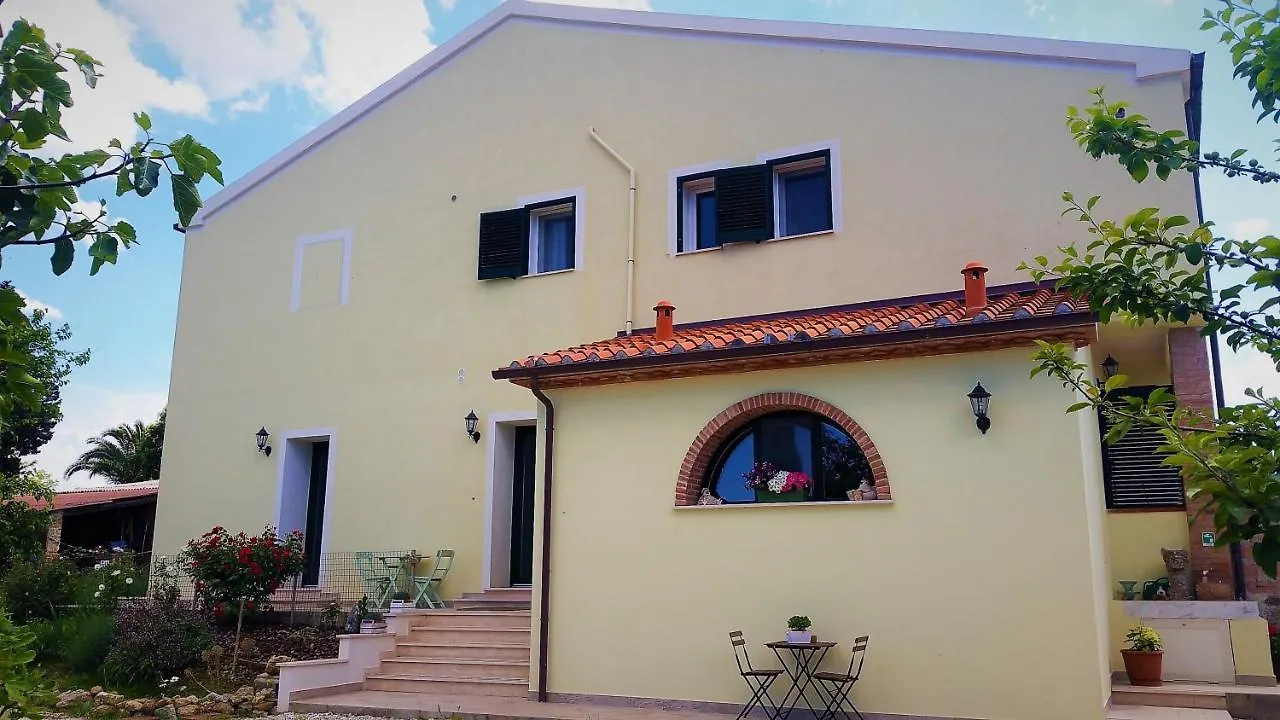B&B Il Poggio Di Fiore Castellina Marittima Bed & Breakfast