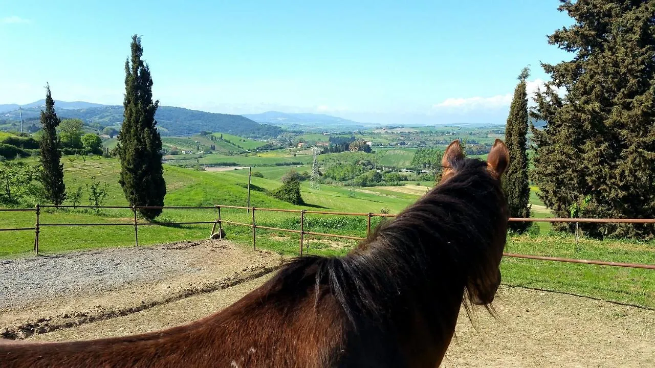 B&B Il Poggio Di Fiore Castellina Marittima 0*,  Italië