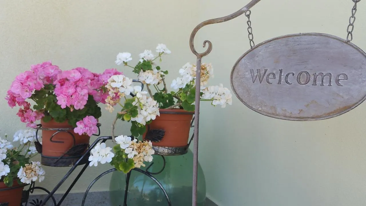 B&B Il Poggio Di Fiore Castellina Marittima
