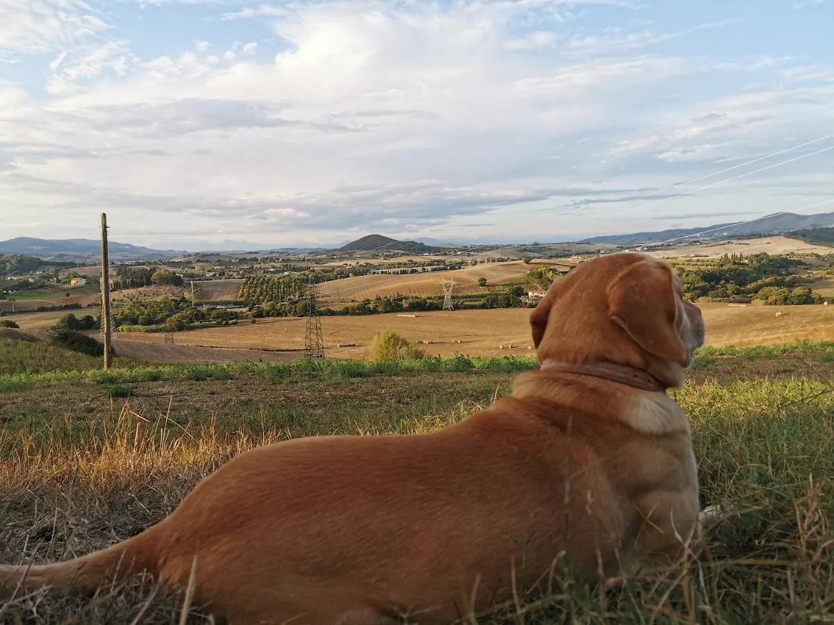 B&B Il Poggio Di Fiore Castellina Marittima